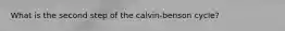 What is the second step of the calvin-benson cycle?