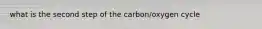 what is the second step of the carbon/oxygen cycle