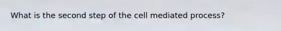 What is the second step of the cell mediated process?