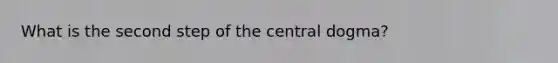 What is the second step of the central dogma?