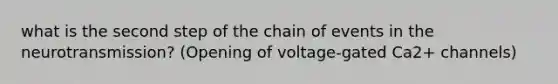 what is the second step of the chain of events in the neurotransmission? (Opening of voltage-gated Ca2+ channels)