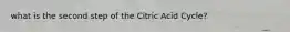 what is the second step of the Citric Acid Cycle?