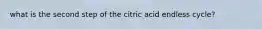 what is the second step of the citric acid endless cycle?