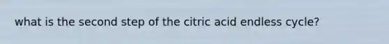 what is the second step of the citric acid endless cycle?