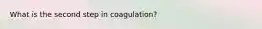 What is the second step in coagulation?