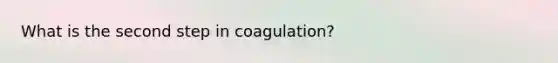 What is the second step in coagulation?