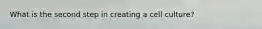 What is the second step in creating a cell culture?