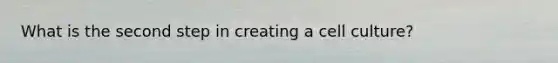 What is the second step in creating a cell culture?