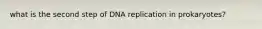 what is the second step of DNA replication in prokaryotes?