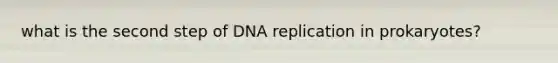 what is the second step of DNA replication in prokaryotes?