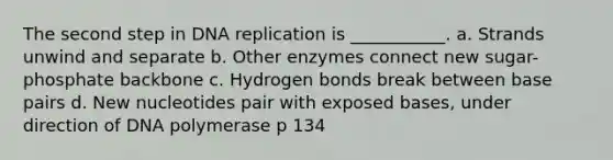 The second step in DNA replication is ___________. a. Strands unwind and separate b. Other enzymes connect new sugar-phosphate backbone c. Hydrogen bonds break between base pairs d. New nucleotides pair with exposed bases, under direction of DNA polymerase p 134