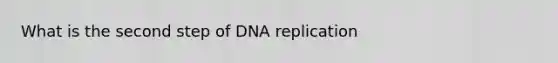 What is the second step of DNA replication