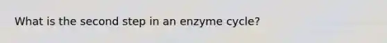 What is the second step in an enzyme cycle?