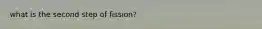 what is the second step of fission?