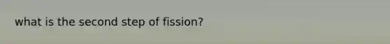 what is the second step of fission?