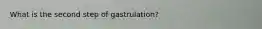 What is the second step of gastrulation?