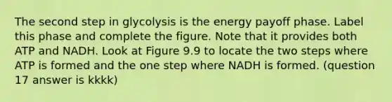 The second step in glycolysis is the energy payoff phase. Label this phase and complete the figure. Note that it provides both ATP and NADH. Look at Figure 9.9 to locate the two steps where ATP is formed and the one step where NADH is formed. (question 17 answer is kkkk)