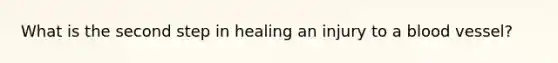 What is the second step in healing an injury to a blood vessel?