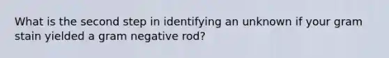 What is the second step in identifying an unknown if your gram stain yielded a gram negative rod?