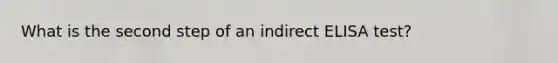 What is the second step of an indirect ELISA test?