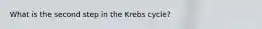 What is the second step in the Krebs cycle?