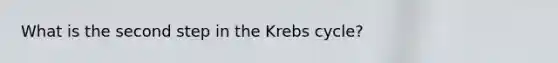 What is the second step in the Krebs cycle?