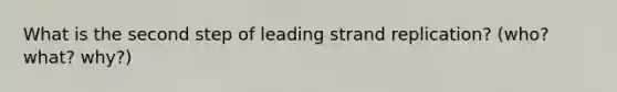 What is the second step of leading strand replication? (who? what? why?)