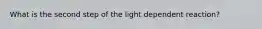 What is the second step of the light dependent reaction?