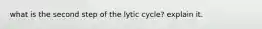 what is the second step of the lytic cycle? explain it.