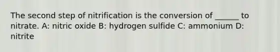 The second step of nitrification is the conversion of ______ to nitrate. A: nitric oxide B: hydrogen sulfide C: ammonium D: nitrite