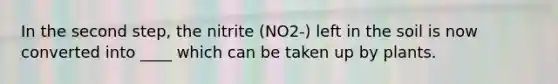 In the second step, the nitrite (NO2-) left in the soil is now converted into ____ which can be taken up by plants.