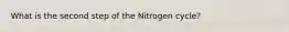 What is the second step of the Nitrogen cycle?