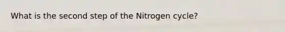 What is the second step of the Nitrogen cycle?