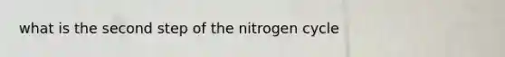 what is the second step of <a href='https://www.questionai.com/knowledge/kbs8ipDdy2-the-nitrogen-cycle' class='anchor-knowledge'>the nitrogen cycle</a>