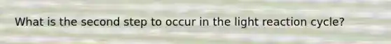 What is the second step to occur in the light reaction cycle?
