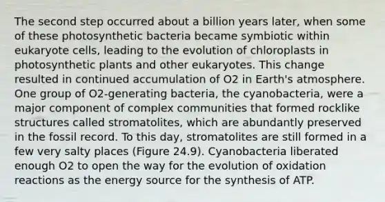 The second step occurred about a billion years later, when some of these photosynthetic bacteria became symbiotic within eukaryote cells, leading to the evolution of chloroplasts in photosynthetic plants and other eukaryotes. This change resulted in continued accumulation of O2 in <a href='https://www.questionai.com/knowledge/kRonPjS5DU-earths-atmosphere' class='anchor-knowledge'>earth's atmosphere</a>. One group of O2-generating bacteria, the cyanobacteria, were a major component of complex communities that formed rocklike structures called stromatolites, which are abundantly preserved in the fossil record. To this day, stromatolites are still formed in a few very salty places (Figure 24.9). Cyanobacteria liberated enough O2 to open the way for the evolution of oxidation reactions as the energy source for the synthesis of ATP.