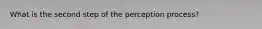 What is the second step of the perception process?