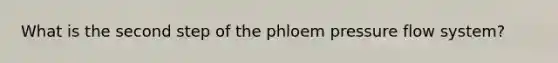 What is the second step of the phloem pressure flow system?