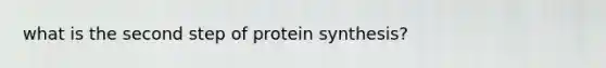 what is the second step of protein synthesis?