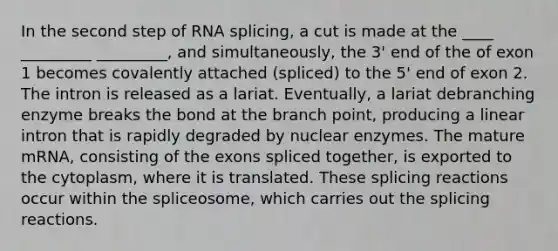 In the second step of RNA splicing, a cut is made at the ____ _________ _________, and simultaneously, the 3' end of the of exon 1 becomes covalently attached (spliced) to the 5' end of exon 2. The intron is released as a lariat. Eventually, a lariat debranching enzyme breaks the bond at the branch point, producing a linear intron that is rapidly degraded by nuclear enzymes. The mature mRNA, consisting of the exons spliced together, is exported to the cytoplasm, where it is translated. These splicing reactions occur within the spliceosome, which carries out the splicing reactions.