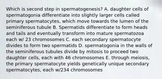 Which is second step in spermatogenesis? A. daughter cells of spermatogonia differentiate into slightly larger cells called primary spermatocytes, which move towards the lumen of the seminiferous tubule B. Spermatids differentiate to form heads and tails and eventually transform into mature spermatozoa each w/ 23 chromosomes C. each secondary spermatocyte divides to form two spermatids D. spermatogonia in the walls of the seminiferous tubules divide by mitosis to proceed two daughter cells, each with 46 chromosomes E. through meiosis, the primary spermatocyte yields genetically unique secondary spermatocytes, each w/234 chromosomes