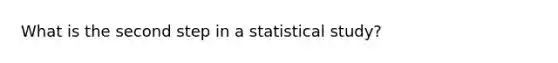 What is the second step in a statistical study?