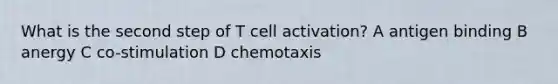 What is the second step of T cell activation? A antigen binding B anergy C co-stimulation D chemotaxis