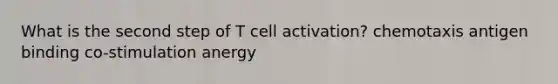 What is the second step of T cell activation? chemotaxis antigen binding co-stimulation anergy