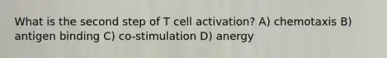 What is the second step of T cell activation? A) chemotaxis B) antigen binding C) co-stimulation D) anergy