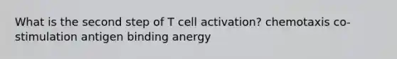 What is the second step of T cell activation? chemotaxis co-stimulation antigen binding anergy