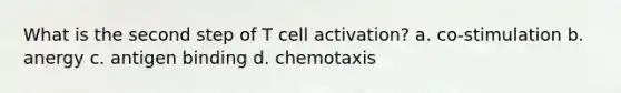 What is the second step of T cell activation? a. co-stimulation b. anergy c. antigen binding d. chemotaxis