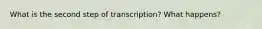 What is the second step of transcription? What happens?