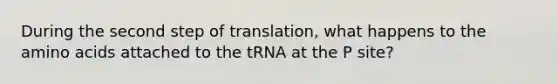 During the second step of translation, what happens to the amino acids attached to the tRNA at the P site?