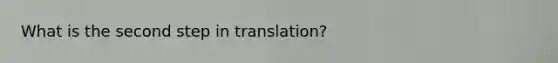 What is the second step in translation?